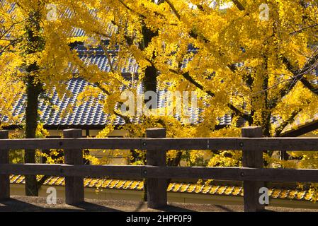 Josaien nel castello di Kumamoto, autunno, Prefettura di Kumamoto, Giappone Foto Stock