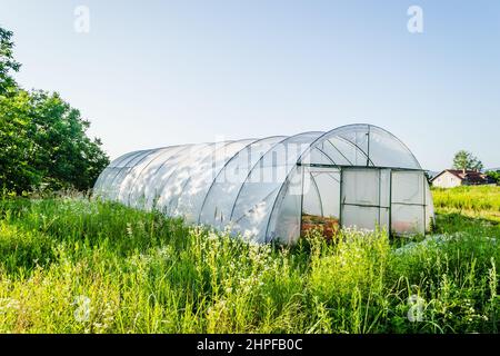 Serra privata nei sobborghi di Petrovaradin, Novi Sad, Serbia. Una nuova serra sotto il cielo blu nelle ore primaverili del mattino. Foto Stock