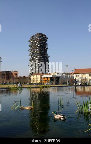 Milano, Italia nello stagno del Parco della Biblioteca degli Alberi, piazza Gae Aulenti, un paio di anatre tedesche (Anas platyrhynchos). Foto Stock