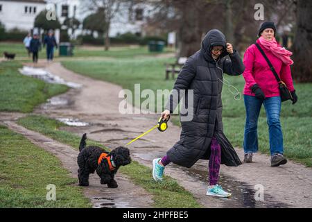 WIMBLEDON LONDRA, REGNO UNITO. 21 Febbraio, 2022. Una camminatrice del cane affronta il vento alto questa mattina su Wimbledon Common, Londra sud-occidentale mentre i venti forti continuano a colpire Londra e la costa sud dopo la terza tempesta in una settimana dopo la tempesta Dudley ed Eunice. L'ufficio MET ha pubblicato oggi ulteriori avvisi meteorologici gialli e ambra per Storm Franklin con raffiche che superano i 80mph.Credit: amer Ghazzal/Alamy Live NE Foto Stock