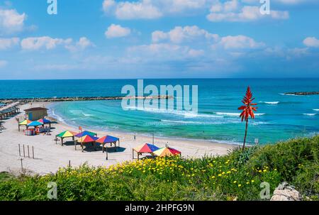 Bella spiaggia Hilton in estate a Tel-Aviv, Israele Foto Stock