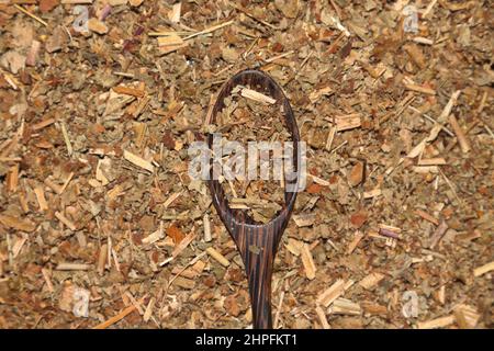 Agrimonia eupatoria, comune agrimonia, campanili o sticklewort Foto Stock