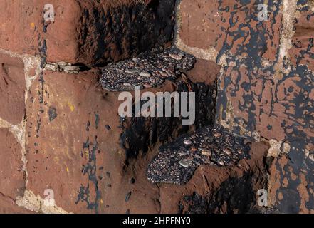 17 febbraio 2022. Pennan, Aberdeenshire, Scozia. Questa è una scena nel villaggio di pescatori costiero in Aberdeenshire. Questo mostra come tarmac si è mescolato con s Foto Stock