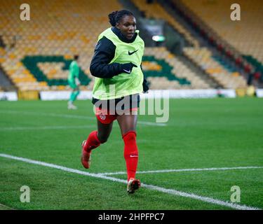 NORWICH, Regno Unito, 20 FEBBRAIO: Deanne Rose (Reading) del Canada durante la Coppa Arnold Clark tra la Germania e il Canada a Carrow Road, Norwich su 20t Foto Stock