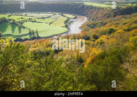 Il fiume Wye meandering è modo attraverso la Foresta di Dean come fa è il modo di unirsi al fiume Severn sullo sfondo. Wyndcliffe Gloucestershi Foto Stock