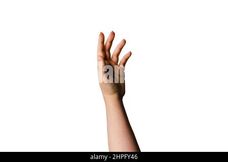 Mano che raggiunge isolato su sfondo bianco per il taglio. Foto Stock