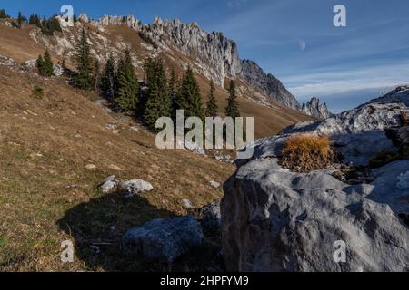 Panorama alpino nelle Alpi svizzere, sullo sfondo il monte Gastlosen. Un piccolo gruppo di abeti al centro e una grande roccia in primo piano. Nel cielo un po' di cirro e la luna. Foto Stock