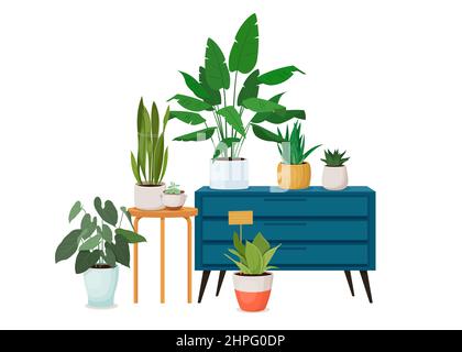Varie piante di casa in pentole all'interno Illustrazione Vettoriale