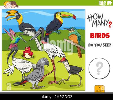Illustrazione del compito di conteggio educativo per i bambini con gruppo di personaggi animali di uccelli cartoon Illustrazione Vettoriale