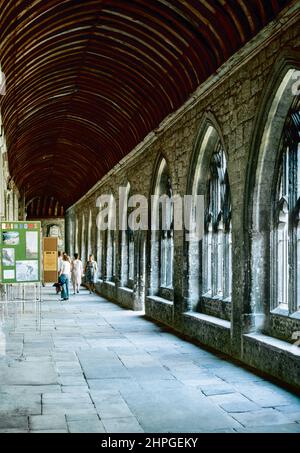 Chiostro della Cattedrale di Chichester (Chiesa Cattedrale della Santissima Trinità), è la sede del Vescovo anglicano di Chichester. Si trova a Chichester, nel Sussex occidentale, Inghilterra. Fu fondata come cattedrale nel 1075, quando la sede del vescovo fu spostata da Selsey. Scansione di archivio da un vetrino. Agosto 1965. Foto Stock