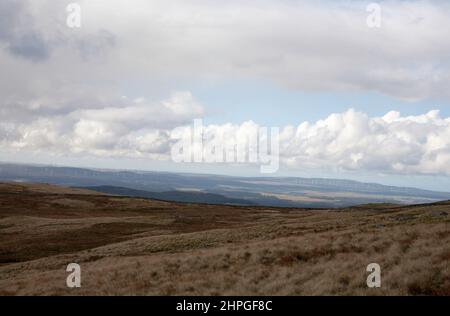 Le pendici e la cima del Benyellary sul sentiero per la cima di Merrick Dumfries e Galloway Scozia Foto Stock