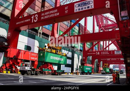 21 febbraio 2022, Colombo, provincia occidentale, Sri Lanka: Le autorità trasportano l'ultimo lotto di container con rifiuti caricati su una nave da carico che deve essere restituito ad una società del Regno Unito dal porto di Colombo, Sri Lanka il 21 febbraio 2022. Nel novembre 2019, la società dello Sri Lanka aveva importato un totale di 263 contenitori con rifiuti dichiarati da riciclare. Sri Lanka l'ispezione doganale aveva rivelato che i contenitori erano stati caricati con rifiuti medici. (Credit Image: © Pradeep Dambarage/ZUMA Press Wire) Foto Stock