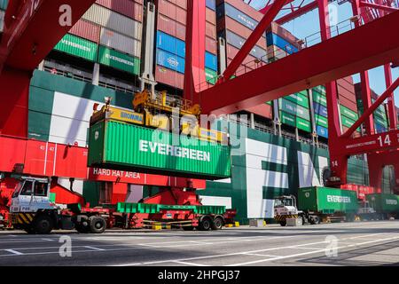 21 febbraio 2022, Colombo, provincia occidentale, Sri Lanka: Le autorità trasportano l'ultimo lotto di container con rifiuti caricati su una nave da carico che deve essere restituito ad una società del Regno Unito dal porto di Colombo, Sri Lanka il 21 febbraio 2022. Nel novembre 2019, la società dello Sri Lanka aveva importato un totale di 263 contenitori con rifiuti dichiarati da riciclare. Sri Lanka l'ispezione doganale aveva rivelato che i contenitori erano stati caricati con rifiuti medici. (Credit Image: © Pradeep Dambarage/ZUMA Press Wire) Foto Stock