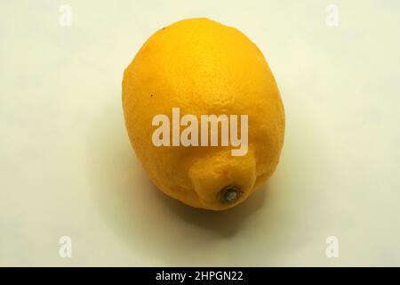 Limone, Zitrone, Limone, Citrus limon, citrom, Europa Foto Stock
