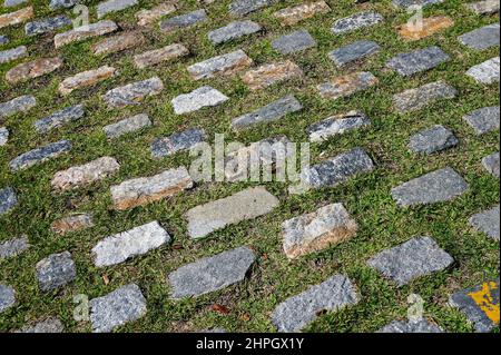 Sfondo di ciottoli con erba, Rio Foto Stock