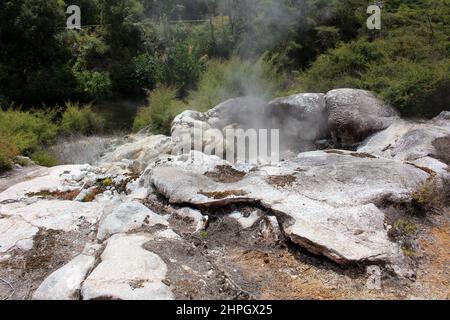 Fumaroles a te Puia o Whakarewarewa, Nuova Zelanda Foto Stock