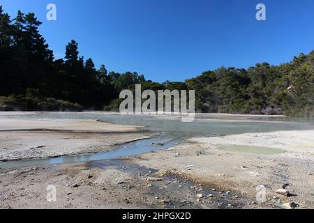 Padella piatto in Thermal Wonderland Wai-o-Tapu in Nuova Zelanda Foto Stock