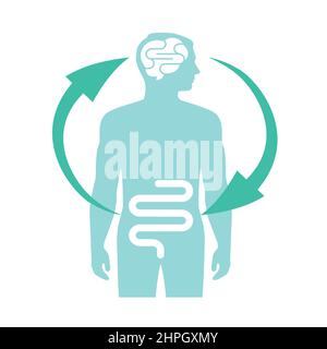 Relazione tra cervello e budella umani, secondo cervello, diagramma di immagine, illustrazione vettoriale Illustrazione Vettoriale