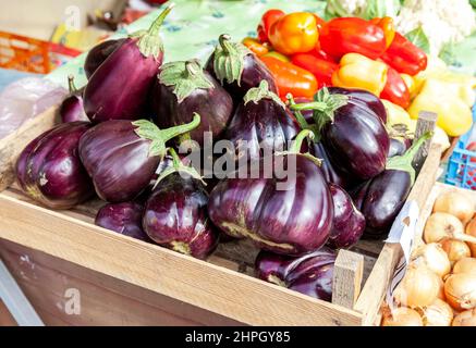 Frutta fresca di fico scuro pronta per la vendita al mercato locale Foto Stock