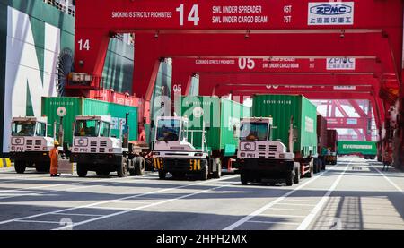 21 febbraio 2022, Colombo, provincia occidentale, Sri Lanka: Le autorità trasportano l'ultimo lotto di container con rifiuti caricati su una nave da carico che deve essere restituito ad una società del Regno Unito dal porto di Colombo, Sri Lanka il 21 febbraio 2022. Nel novembre 2019, la società dello Sri Lanka aveva importato un totale di 263 contenitori con rifiuti dichiarati da riciclare. Sri Lanka l'ispezione doganale aveva rivelato che i contenitori erano stati caricati con rifiuti medici. (Credit Image: © Pradeep Dambarage/ZUMA Press Wire) Foto Stock