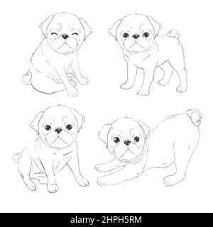 Set di immagini vettoriali di pug. Oggetti isolati su sfondo bianco. Illustrazione del cartone animato del cane PUG. Carino simpatico cucciolo di pegno fat chubby seduta pug, SM Illustrazione Vettoriale