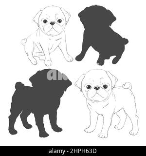 Set di immagini vettoriali di pug. Oggetti isolati su sfondo bianco. Illustrazione del cartone animato del cane PUG. Carino simpatico cucciolo di pegno fat chubby seduta pug, SM Illustrazione Vettoriale