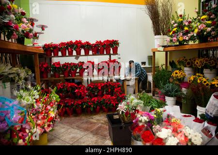 Flower Mart, Los Angeles, California, Stati Uniti d'America Foto Stock