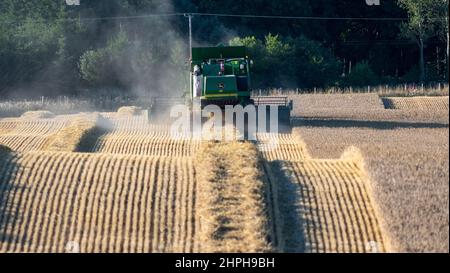 Combinazione di raccolto di grano con una mietitrebbia John Deere T670 vicino a Lanark, Scozia, Regno Unito. Foto Stock