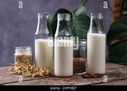 Latte di grano saraceno senza lattosio Foto Stock
