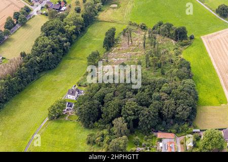 Fotografia aerea, pezzo di foresta con alberi sgranati a Holtkamp nel distretto di Bausenhagen, Fröndenberg/Ruhr, zona della Ruhr, Renania settentrionale-Vestfalia, Foto Stock