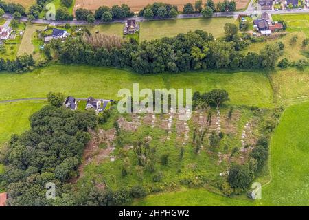 Fotografia aerea, pezzo di foresta con alberi sgranati a Holtkamp nel distretto di Bausenhagen, Fröndenberg/Ruhr, zona della Ruhr, Renania settentrionale-Vestfalia, Foto Stock