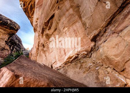 Il Flying Carpet Pictograph Panel è un pannello di arte rupestre dipinto in stile Barrier Canyon in un canyon remoto nel Canyonlands National Park dello Utah. È es Foto Stock