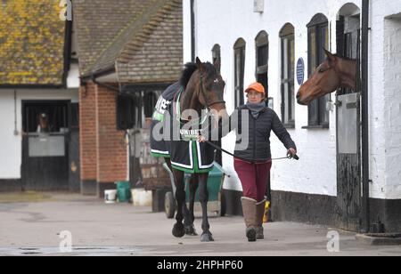 Constitution Hill che è dovuto a gara nel Supreme Novice ostacolo. L'allenatore Nicky Henderson aprì le porte del suo cantiere Seven Barrows a Lam Foto Stock