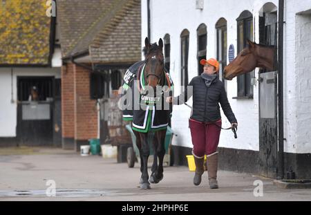 Constitution Hill che è dovuto a gara nel Supreme Novice ostacolo. L'allenatore Nicky Henderson aprì le porte del suo cantiere Seven Barrows a Lam Foto Stock