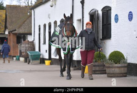 Constitution Hill che è dovuto a gara nel Supreme Novice ostacolo. L'allenatore Nicky Henderson aprì le porte del suo cantiere Seven Barrows a Lam Foto Stock