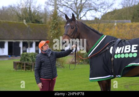 Constitution Hill che è dovuto a gara nel Supreme Novice ostacolo. L'allenatore Nicky Henderson aprì le porte del suo cantiere Seven Barrows a Lamb Foto Stock