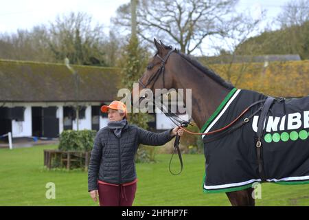 Constitution Hill che è dovuto a gara nel Supreme Novice ostacolo. L'allenatore Nicky Henderson aprì le porte del suo cantiere Seven Barrows a Lamb Foto Stock