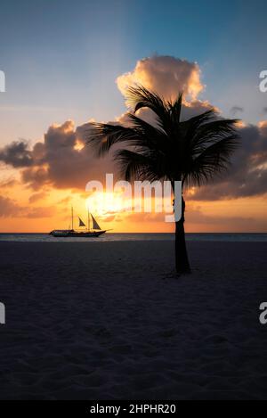 Una barca a vela e una palma che si staglia contro un vivido cielo al tramonto dalla spiaggia di Manchebo ad Aruba. Foto Stock