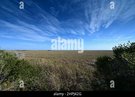 Vista dell'estesa prateria sawgrass dal punto di vista di Pa Hay Okee nell'Everglades National Park, Florida. Foto Stock