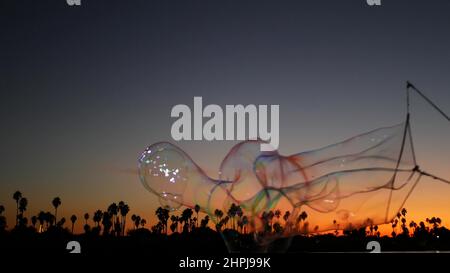 Palme silhouette sul tramonto spiaggia oceano, grandi bolle di sapone giganti, costa della California, Stati Uniti. Cielo arancione viola, Mission Bay Park, San Diego, tramonto tropicale. Enorme schiuma di sapone colorato nella brezza del vento. Foto Stock