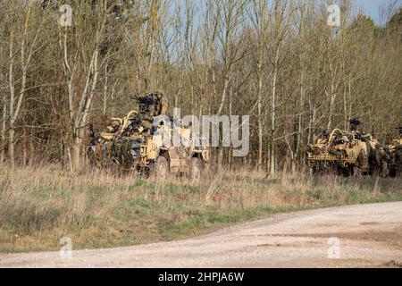 diversi supacat dell'esercito britannico schiacali esercito rapido assalto, sostegno del fuoco e veicolo di ricognizione in azione su un esercizio militare Foto Stock