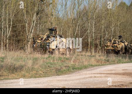 diversi supacat dell'esercito britannico schiacali esercito rapido assalto, sostegno del fuoco e veicolo di ricognizione in azione su un esercizio militare Foto Stock