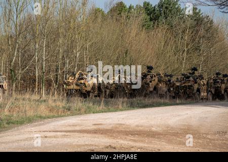 diversi supacat dell'esercito britannico schiacali esercito rapido assalto, sostegno del fuoco e veicolo di ricognizione in azione su un esercizio militare Foto Stock