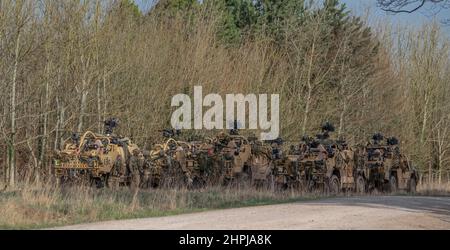 diversi supacat dell'esercito britannico schiacali esercito rapido assalto, sostegno del fuoco e veicolo di ricognizione in azione su un esercizio militare Foto Stock