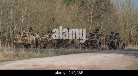 diversi supacat dell'esercito britannico schiacali esercito rapido assalto, sostegno del fuoco e veicolo di ricognizione in azione su un esercizio militare Foto Stock