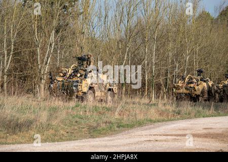 diversi supacat dell'esercito britannico schiacali esercito rapido assalto, sostegno del fuoco e veicolo di ricognizione in azione su un esercizio militare Foto Stock