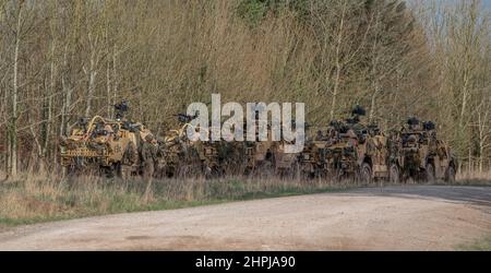 diversi supacat dell'esercito britannico schiacali esercito rapido assalto, sostegno del fuoco e veicolo di ricognizione in azione su un esercizio militare Foto Stock