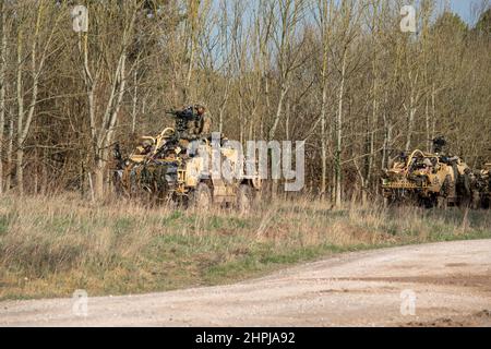 diversi supacat dell'esercito britannico schiacali esercito rapido assalto, sostegno del fuoco e veicolo di ricognizione in azione su un esercizio militare Foto Stock