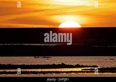 Sunrise sopra le pareti del mare a RSPB Frampton Lincolnshire Foto Stock