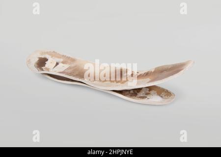 Due vecchie solette ortopediche shabby isolate su sfondo grigio. Solette in pelle sporche. Oggetti usurati con fori. Suole interne di scarpe. Vista dall'alto Foto Stock